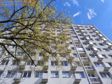 Mieszkanie Sprzedaż  Mokotów Bielawska